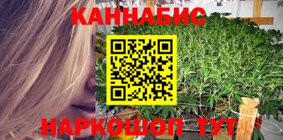 прущие грибы Новозыбков