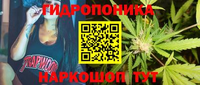 прущие грибы Новозыбков