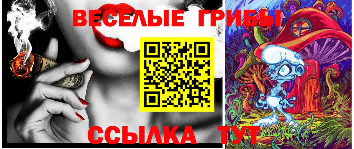 Псилоцибиновые грибы MAGIC MUSHROOMS  где купить наркотик  Углич  Вход с VPN 