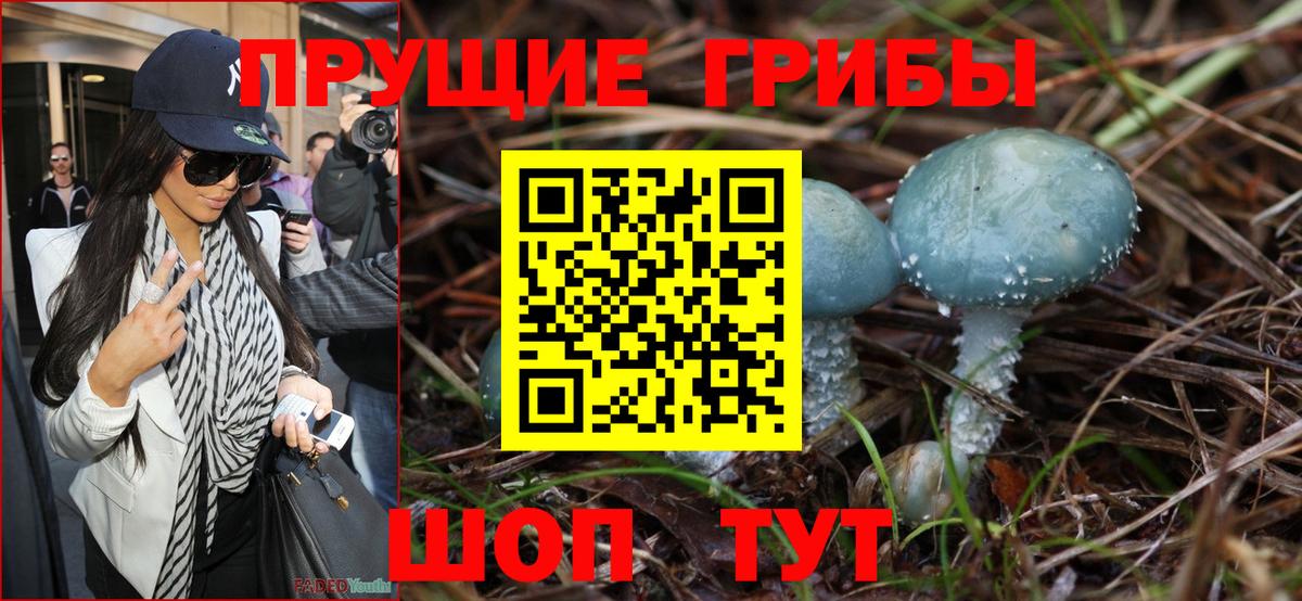 Галлюциногенные грибы Magic Shrooms Углич